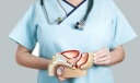 Tuyến tiền liệt là gì? Vai trò và chức năng tuyến tiền liệt