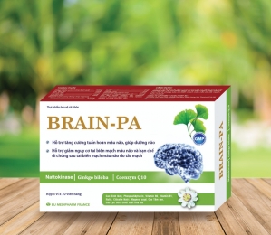 BRAIN - PA
